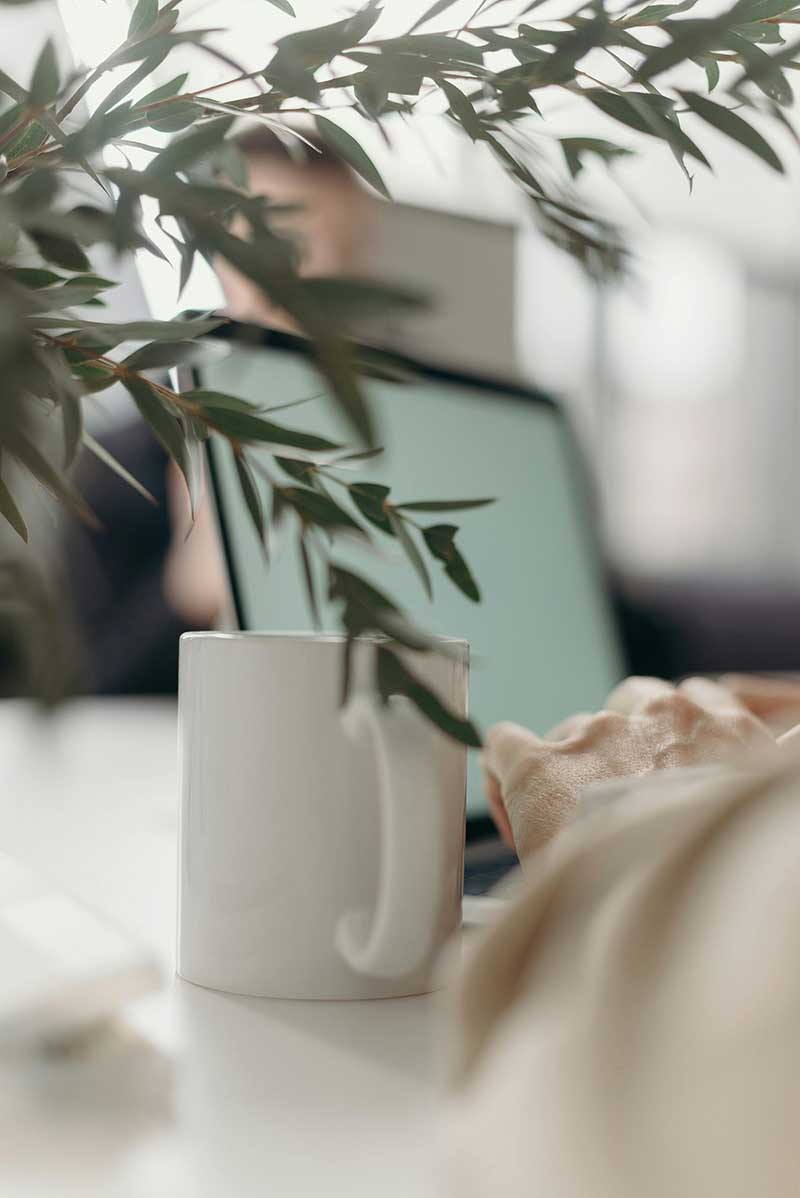 Person working peacefully at home with a cup of tea and laptop, surrounded by plants